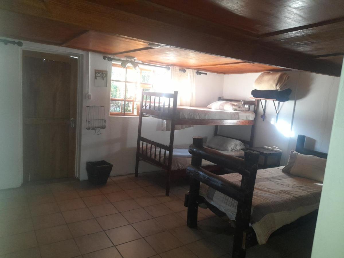 Pretoria-Noord 1322 Backpackers International旅舍 外观 照片