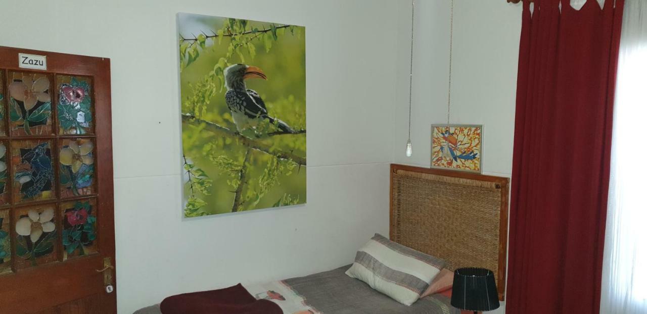 Pretoria-Noord 1322 Backpackers International旅舍 外观 照片